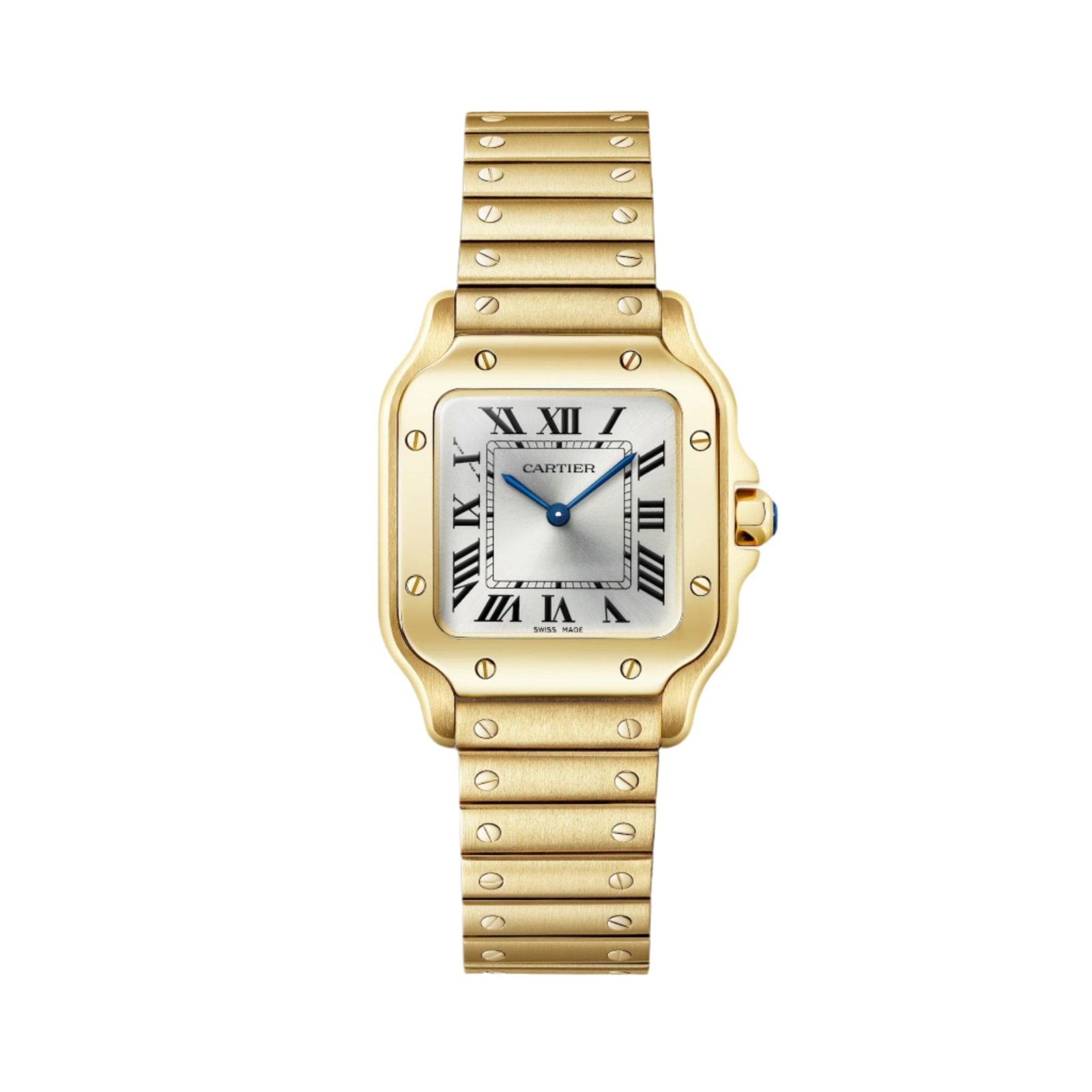 Santos De Ca*t1er Watch