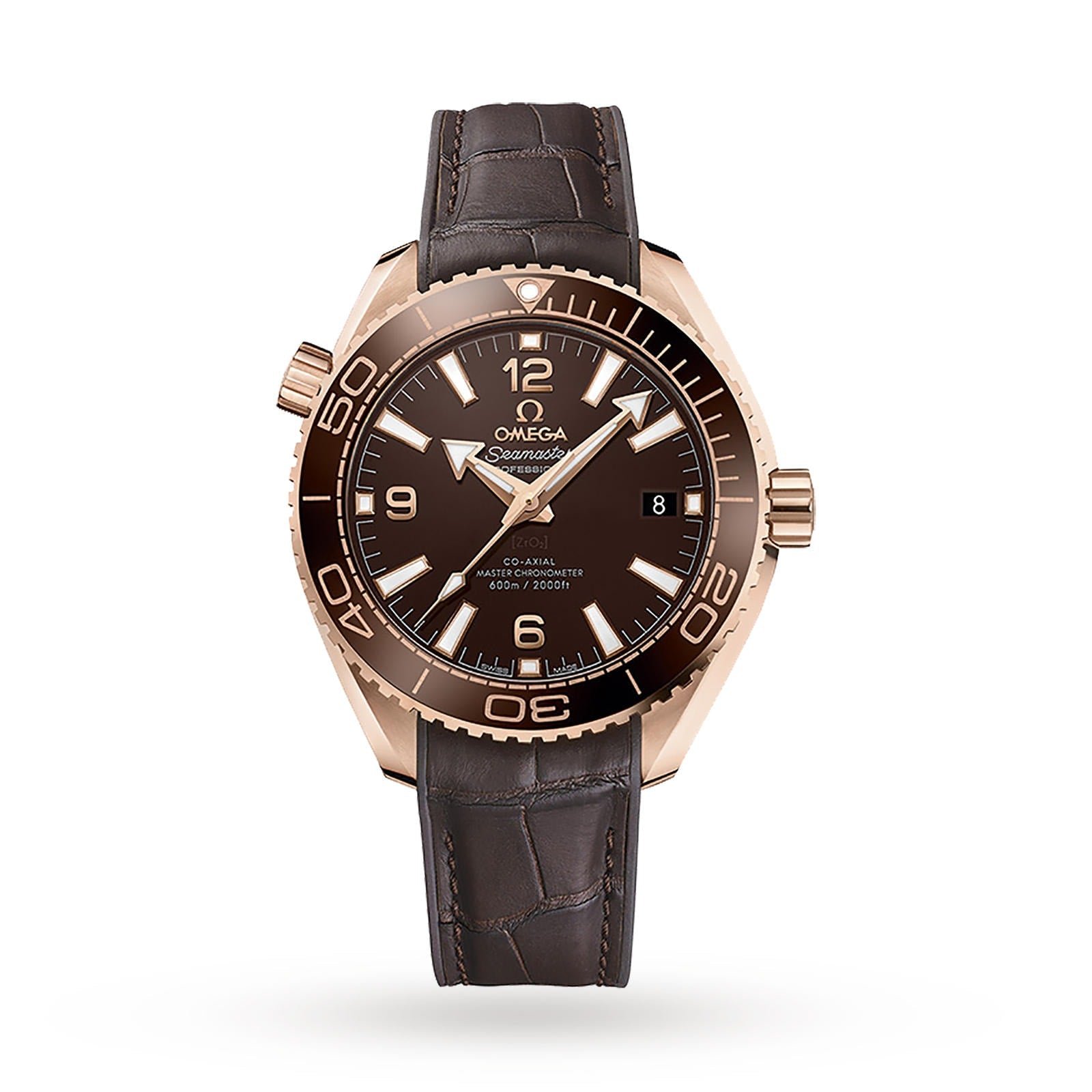 0me*ga Seamaster Planet Ocean 600M