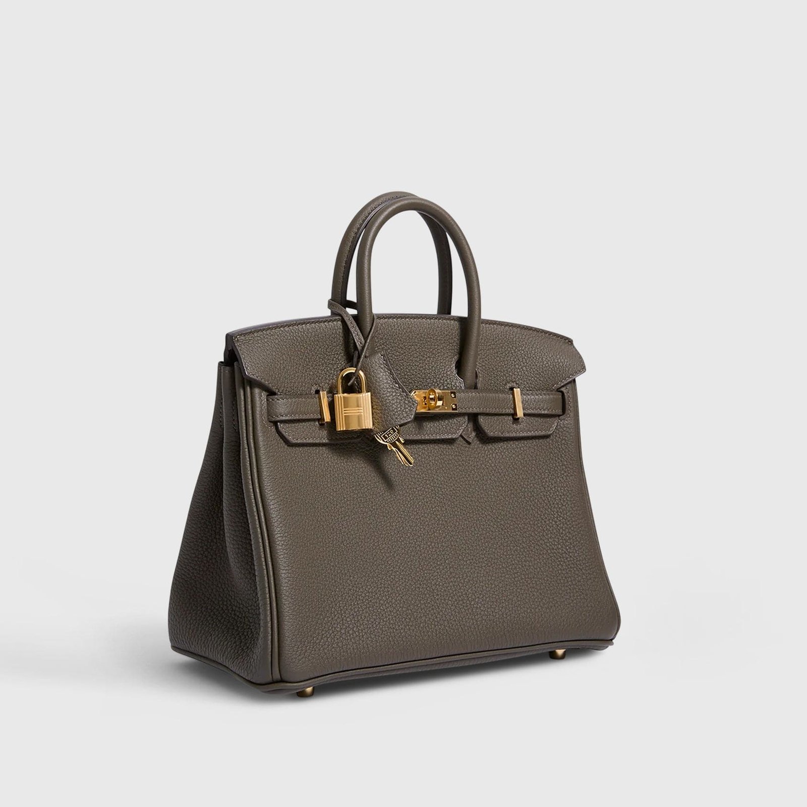 H**me5 Birkin 25 Togo Eucalyptus Gold Hardware