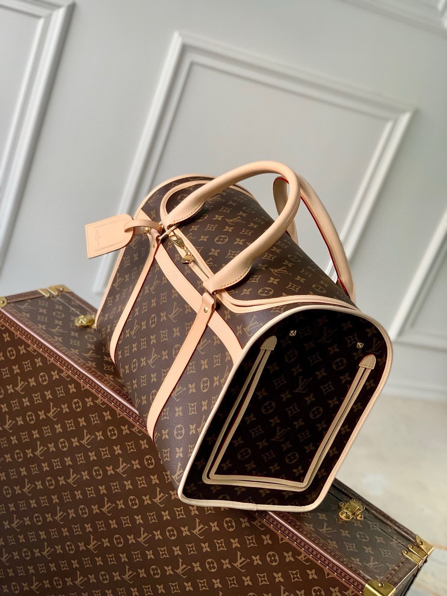 L0vis Vvtt0n M45662 Dog Bag