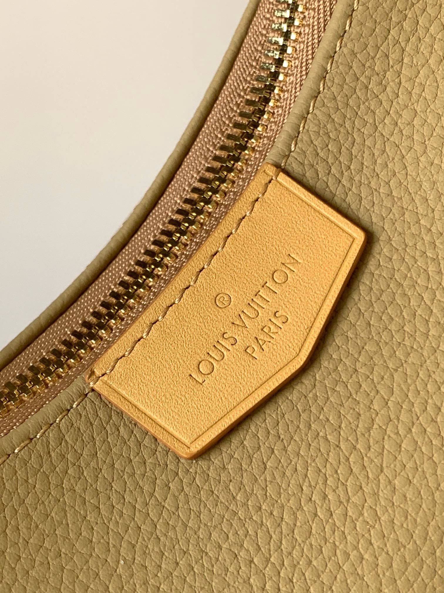 L0vis Vvtt0n M12697 Hobo Cargo