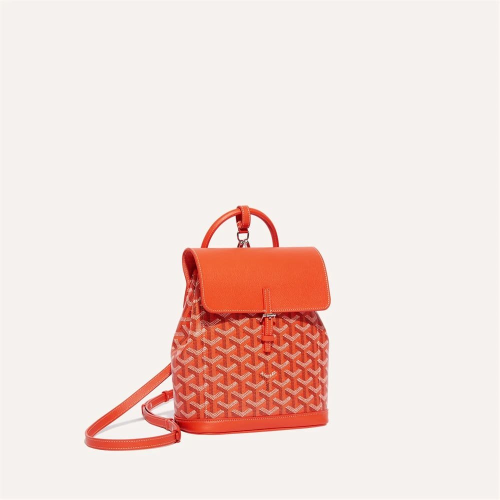 G09ard Alpin Mini Backpack