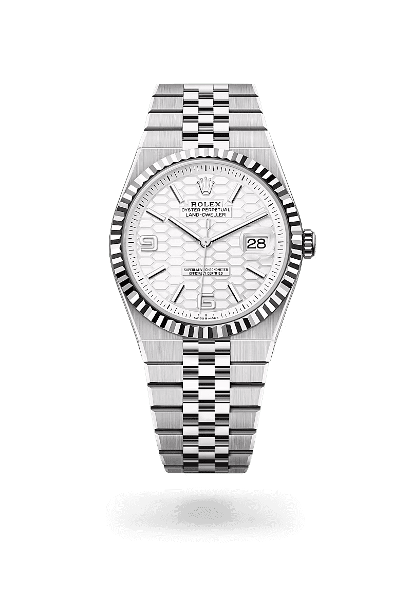 R01ex Land-Dweller Oyster, 40 mm, Oystersteel and white gold M127334